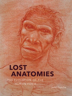 cover image of Lost Anatomies